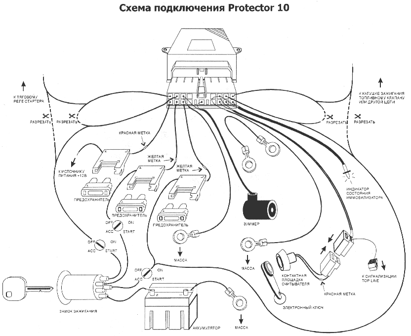 Cel Protector 10 -  